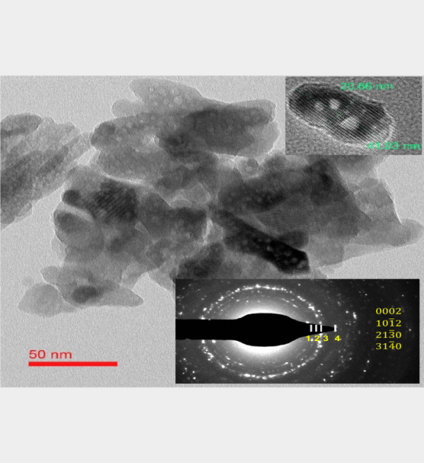 Phase Pure Hydroxyapatite (HA-PP) - Image 7